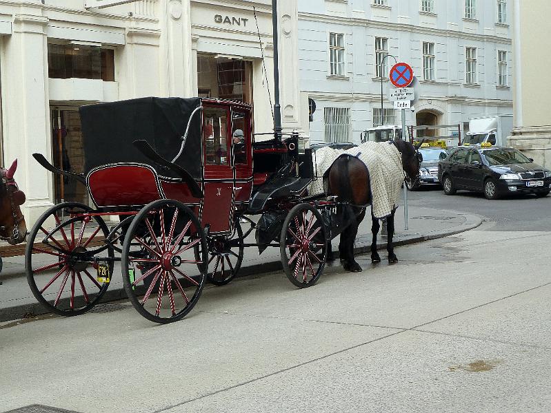 Wien (40).JPG